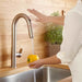 4931.380.075 Kitchen/Kitchen Faucets/Pull Down Spray Faucets