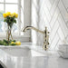 4197-PN-DST Kitchen/Kitchen Faucets/Pull Out Spray Faucets