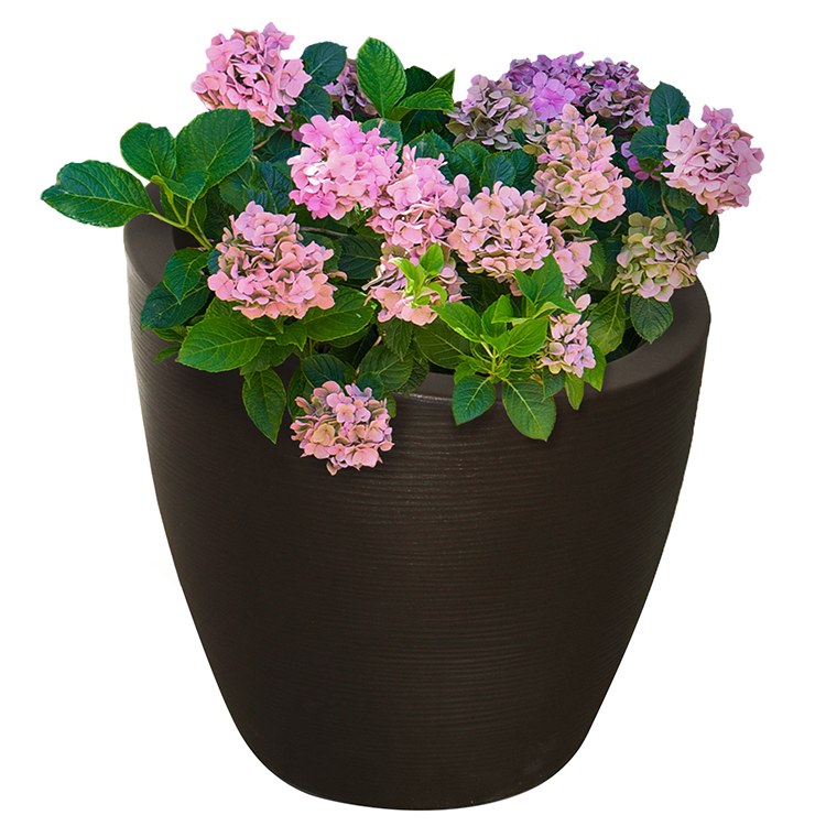 Product Image: 8879-ES Outdoor/Lawn & Garden/Planters