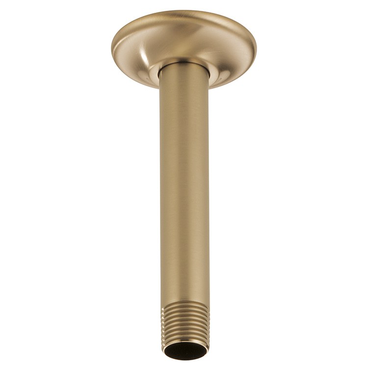 Product Image: RP48985GL Parts & Maintenance/Bathtub & Shower Parts/Shower Arms