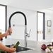 30295000 Kitchen/Kitchen Faucets/Pull Down Spray Faucets
