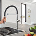 30295000 Kitchen/Kitchen Faucets/Pull Down Spray Faucets
