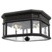 OL5433BK Lighting/Outdoor Lighting/Outdoor Flush & Semi-Flush Lights