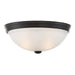 6-780-13-13 Lighting/Ceiling Lights/Flush & Semi-Flush Lights