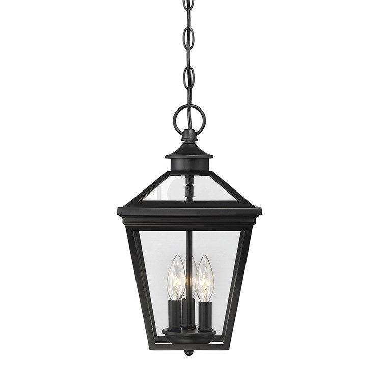 Product Image: 5-146-BK Lighting/Outdoor Lighting/Outdoor Pendants