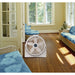 3520 Heating Cooling & Air Quality/Air Conditioning/Floor & Desk Fans 