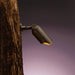 15087AZT Lighting/Outdoor Lighting/Outdoor Flood & Spot Lights