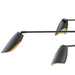 FR35806BLK Lighting/Ceiling Lights/Chandeliers