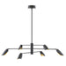 FR35806BLK Lighting/Ceiling Lights/Chandeliers