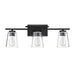 8-1020-3-BK Lighting/Wall Lights/Vanity & Bath Lights