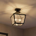 5-105-BK Lighting/Outdoor Lighting/Outdoor Pendants