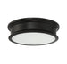 6-133-16-44 Lighting/Ceiling Lights/Flush & Semi-Flush Lights