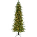 FFCP075-5GR Holiday/Christmas/Christmas Trees