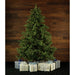 FFFX090-5GR Holiday/Christmas/Christmas Trees