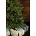 FFFX090-5GR Holiday/Christmas/Christmas Trees