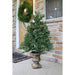 FFNF056-6GRB Holiday/Christmas/Christmas Trees