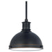 65085-715 Lighting/Ceiling Lights/Pendants