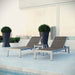 EEI-2466-SLV-GRY-SET Outdoor/Patio Furniture/Outdoor Chaise Lounges