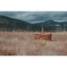 138-00-300-000-0 Outdoor/Outdoor Dining/Picnic Baskets