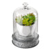 56152A Decor/Decorative Accents/Jar Bottles & Canisters