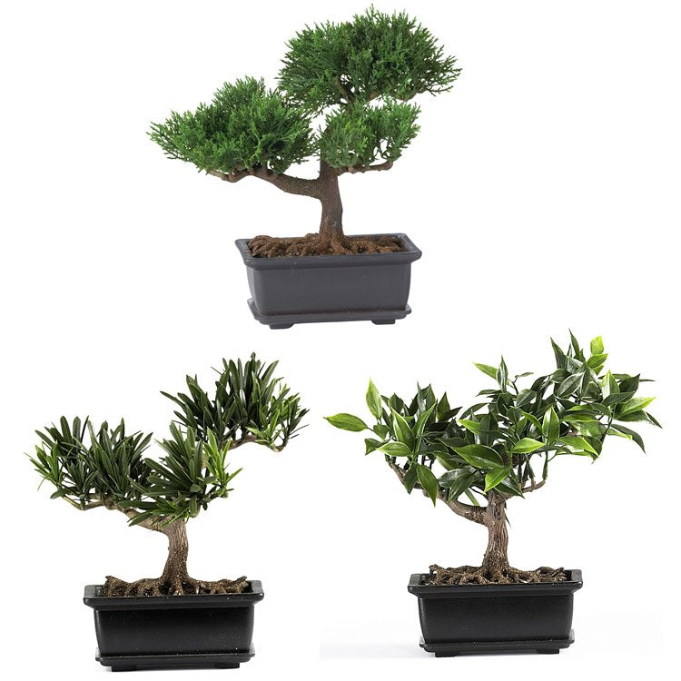 Product Image: 4122 Decor/Faux Florals/Plants & Trees