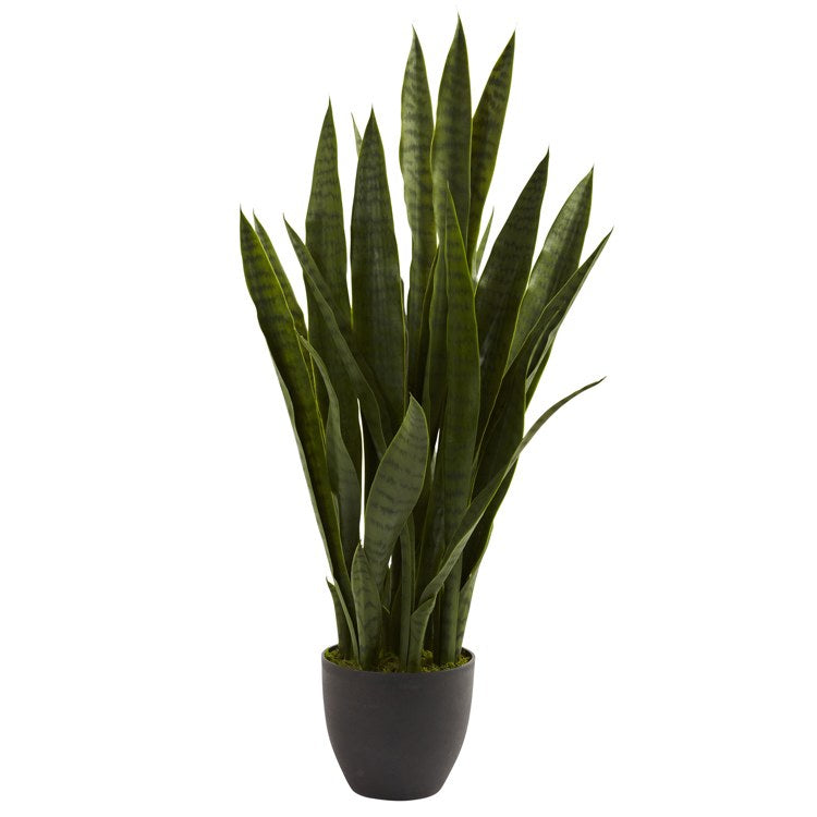 Product Image: 4855 Decor/Faux Florals/Plants & Trees