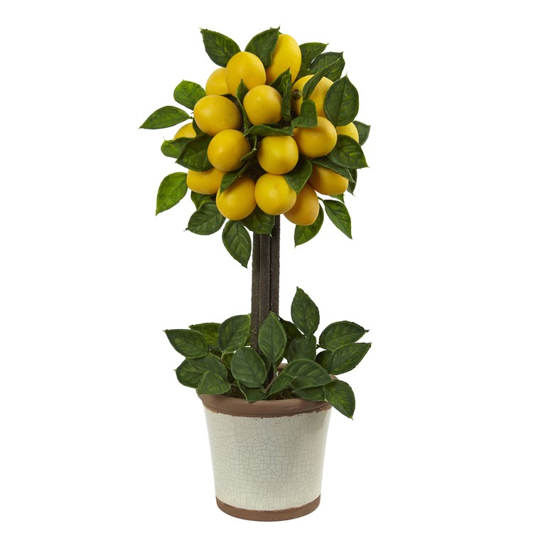 Product Image: 4865 Decor/Faux Florals/Plants & Trees
