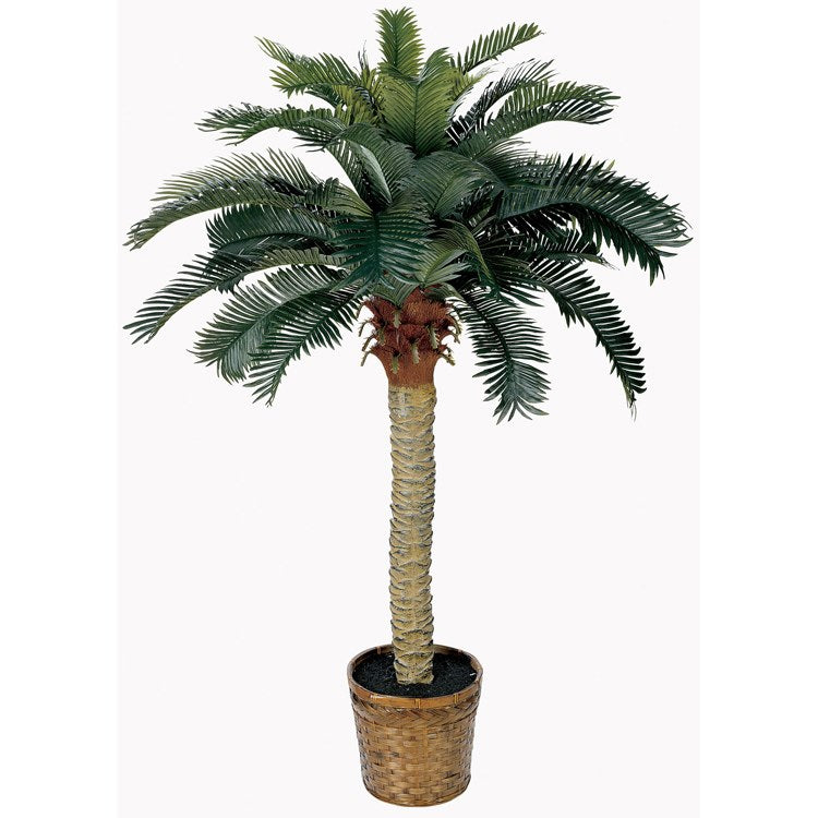 Product Image: 5043 Decor/Faux Florals/Plants & Trees