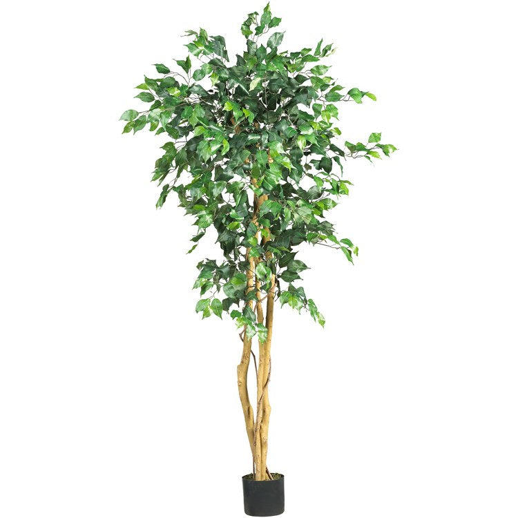 Product Image: 5208 Decor/Faux Florals/Plants & Trees