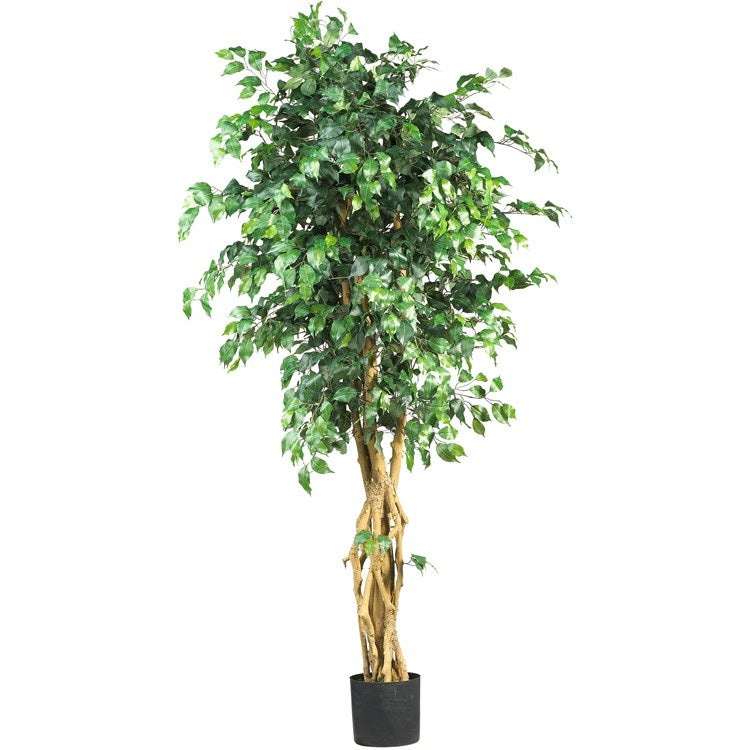Product Image: 5216 Decor/Faux Florals/Plants & Trees
