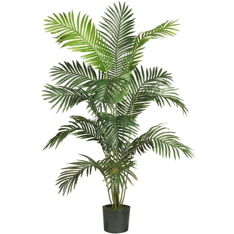 Product Image: 5260 Decor/Faux Florals/Plants & Trees