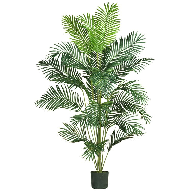 Product Image: 5261 Decor/Faux Florals/Plants & Trees