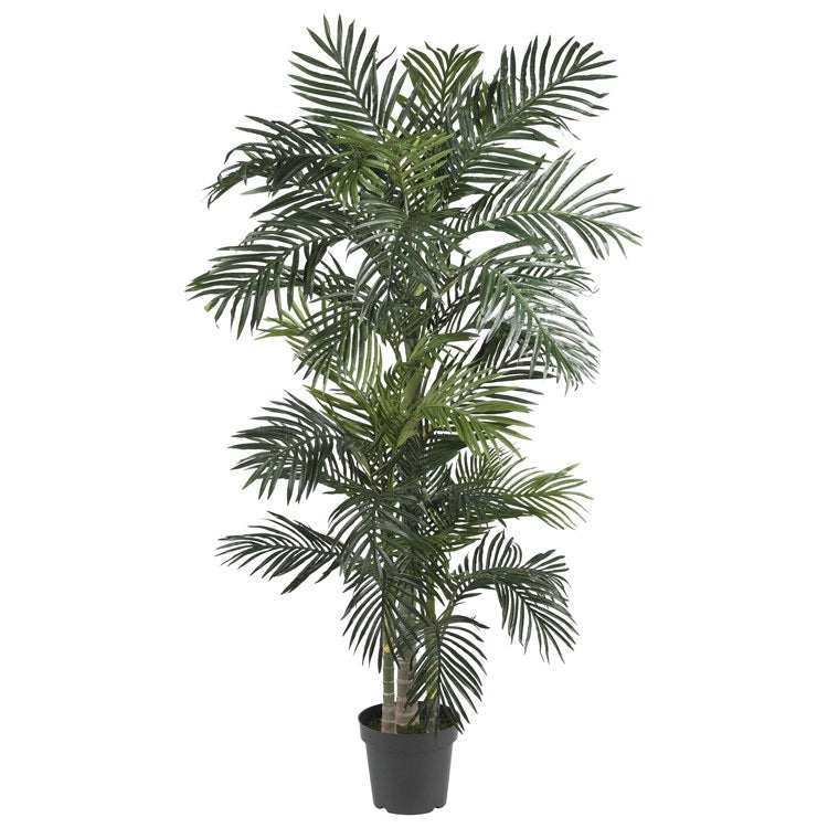 Product Image: 5289 Decor/Faux Florals/Plants & Trees