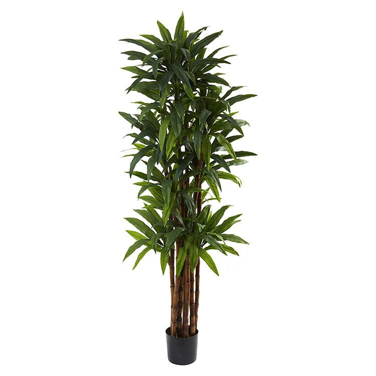 Product Image: 5403 Decor/Faux Florals/Plants & Trees