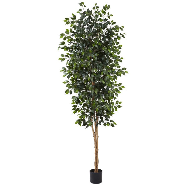 Product Image: 5427 Decor/Faux Florals/Plants & Trees