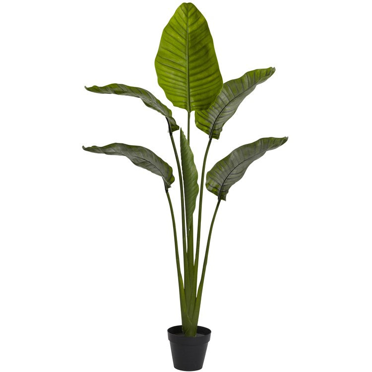 Product Image: 5445 Decor/Faux Florals/Plants & Trees