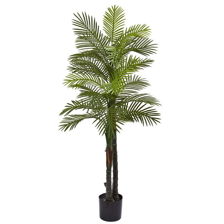 Product Image: 5479 Decor/Faux Florals/Plants & Trees