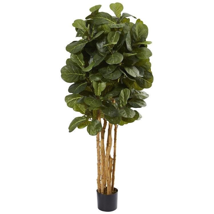 Product Image: 5487 Decor/Faux Florals/Plants & Trees