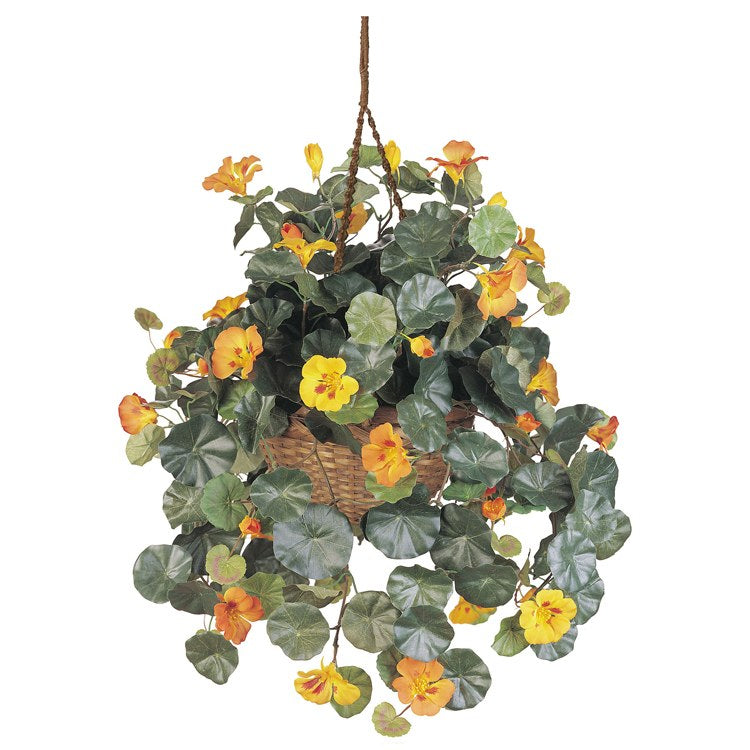 Product Image: 6025 Decor/Faux Florals/Plants & Trees
