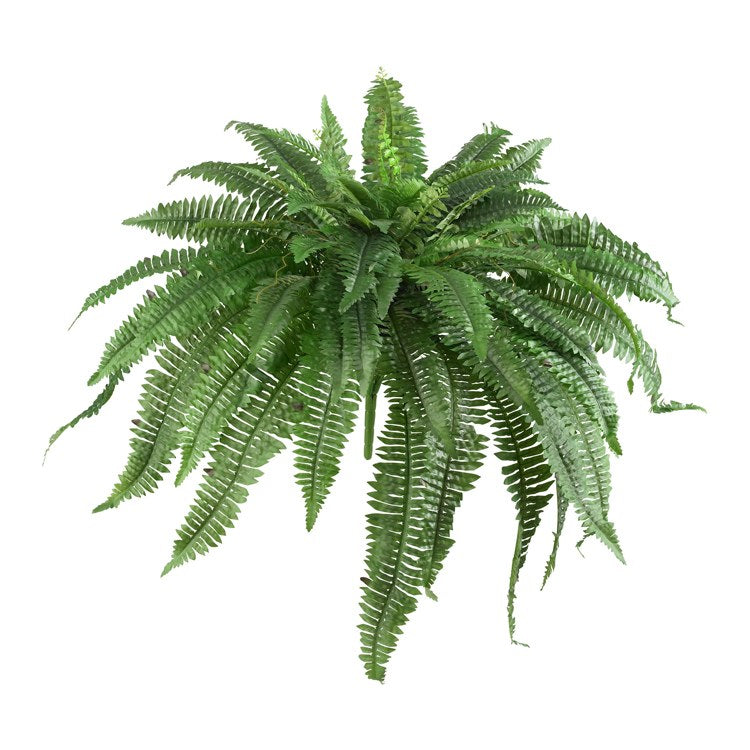 Product Image: 6051-S2 Decor/Faux Florals/Plants & Trees