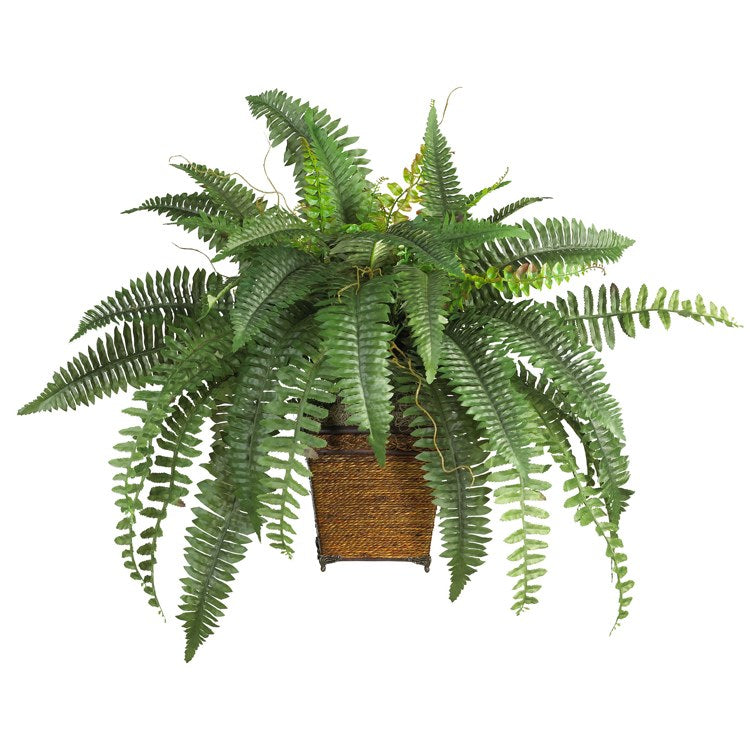 Product Image: 6549 Decor/Faux Florals/Plants & Trees