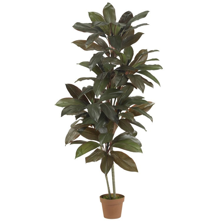 Product Image: 6580 Decor/Faux Florals/Plants & Trees