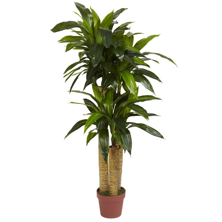 Product Image: 6648 Decor/Faux Florals/Plants & Trees