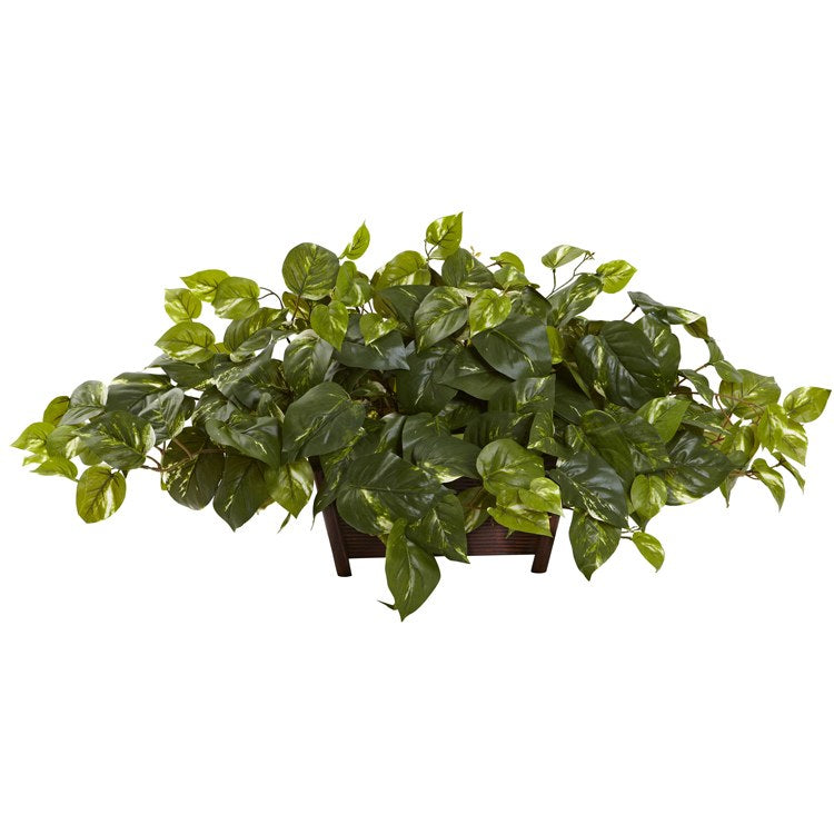 Product Image: 6793 Decor/Faux Florals/Plants & Trees
