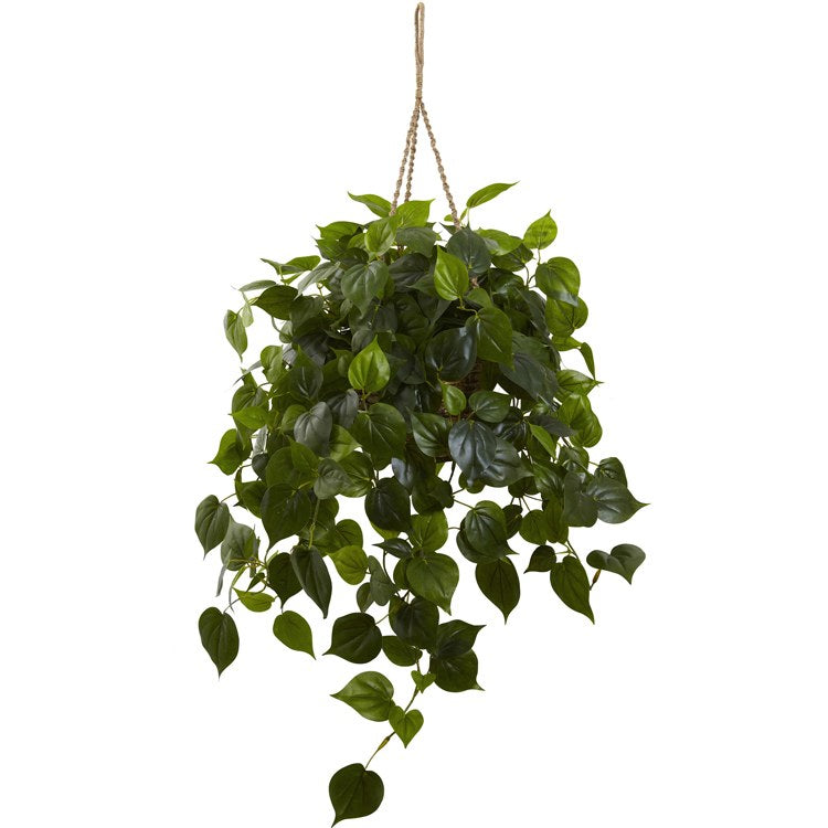 Product Image: 6853 Decor/Faux Florals/Plants & Trees