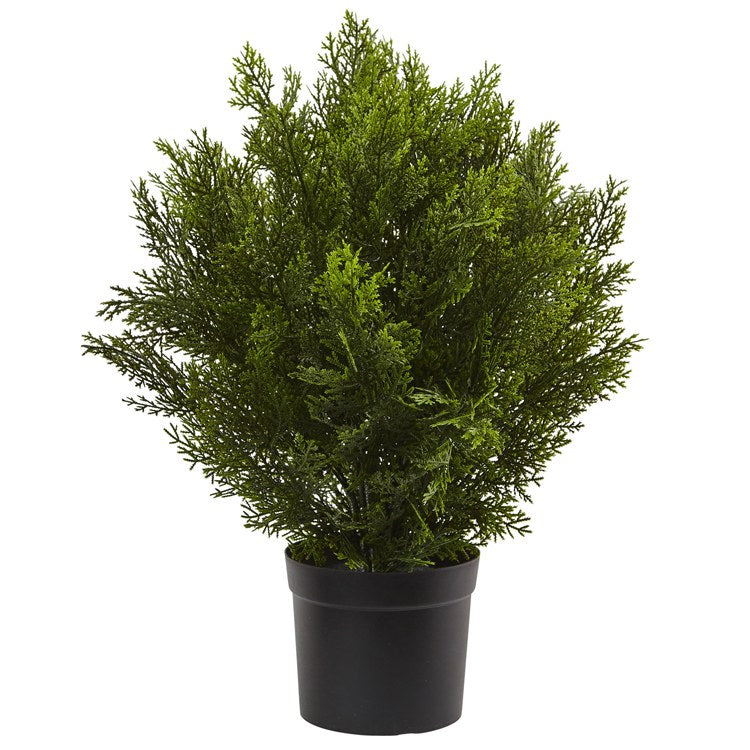 Product Image: 6880 Decor/Faux Florals/Plants & Trees