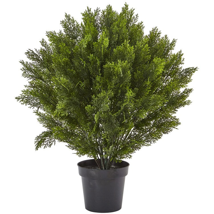 Product Image: 6881 Decor/Faux Florals/Plants & Trees