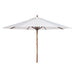 PAT8009E Outdoor/Outdoor Shade/Patio Umbrellas