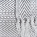CAMZ38154 Decor/Decorative Accents/Throws