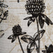 CAMZ11203 Dining & Entertaining/Table Linens/Tablecloths